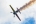 Sukhoi Su-31